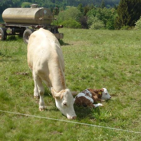 Ferienwohnung Bradatsch Catterfeld Zewnętrze zdjęcie